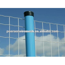 Revestido de PVC Soldado fio rolo malha Euro Fence